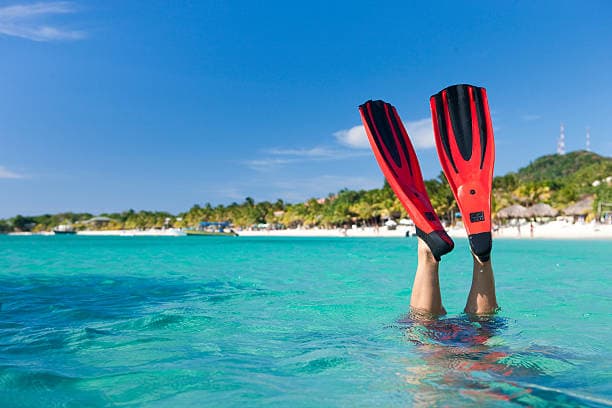 Scuba Dalış Paleti Seçerken Dikkat Edilmesi Gereken 8 Önemli Madde